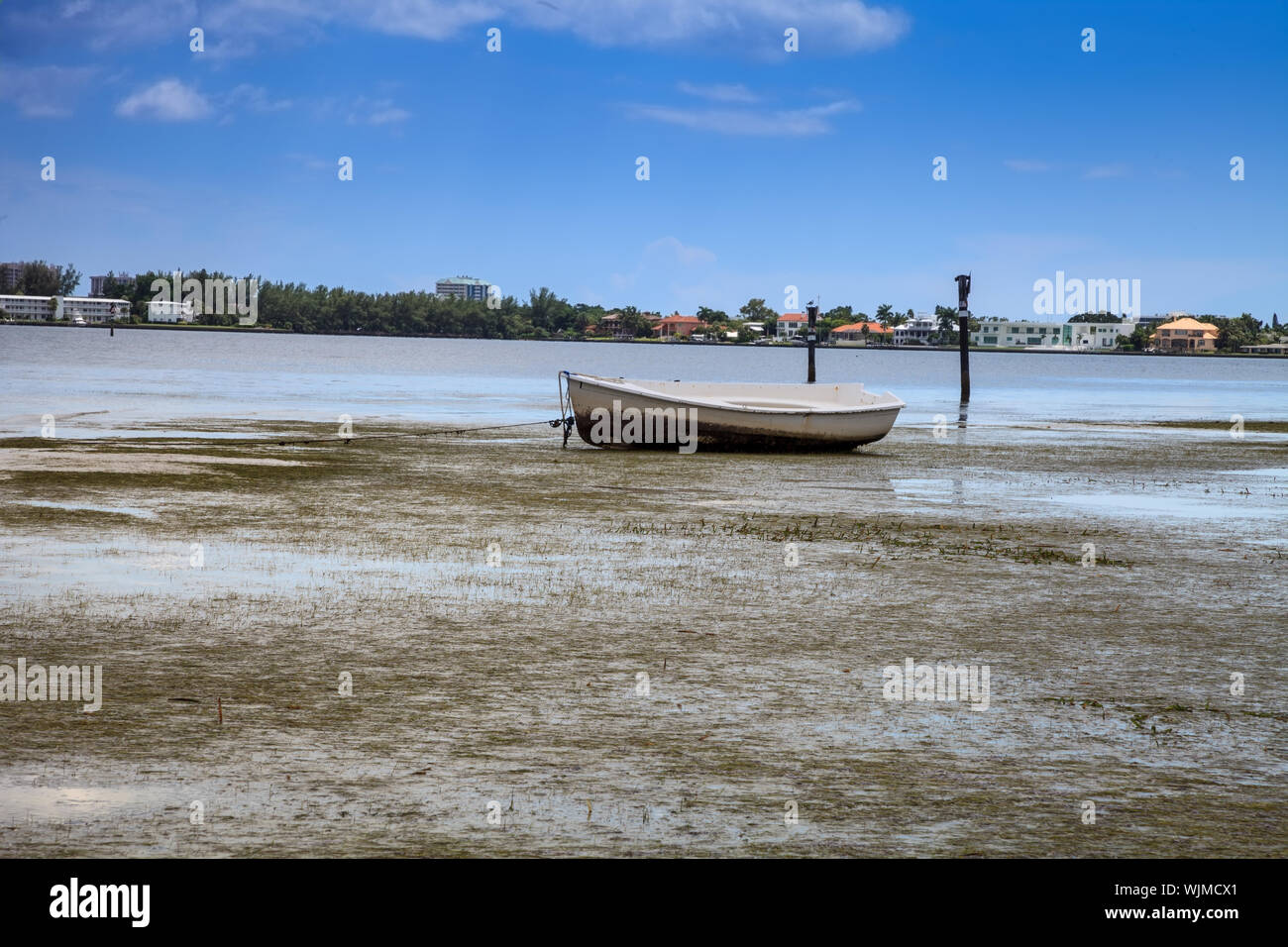 Dock and loan boat at Ken Thompson park in Sarasota, Florida Stock Photo
