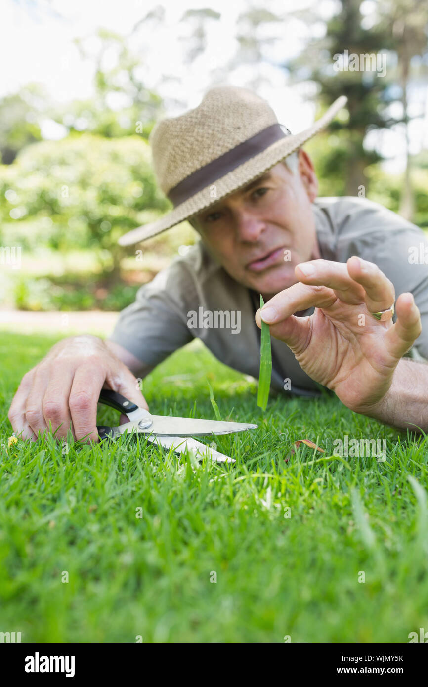 Closeup of a man cutting grass with scissors Stock Photo Alamy