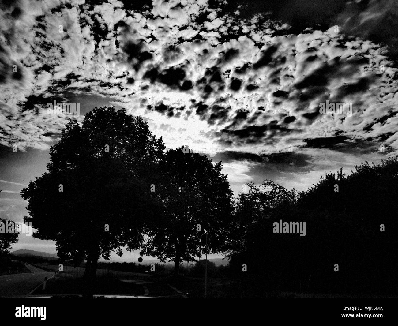 Silhouette trees sunset sunset Black and White Stock Photos & Images ...