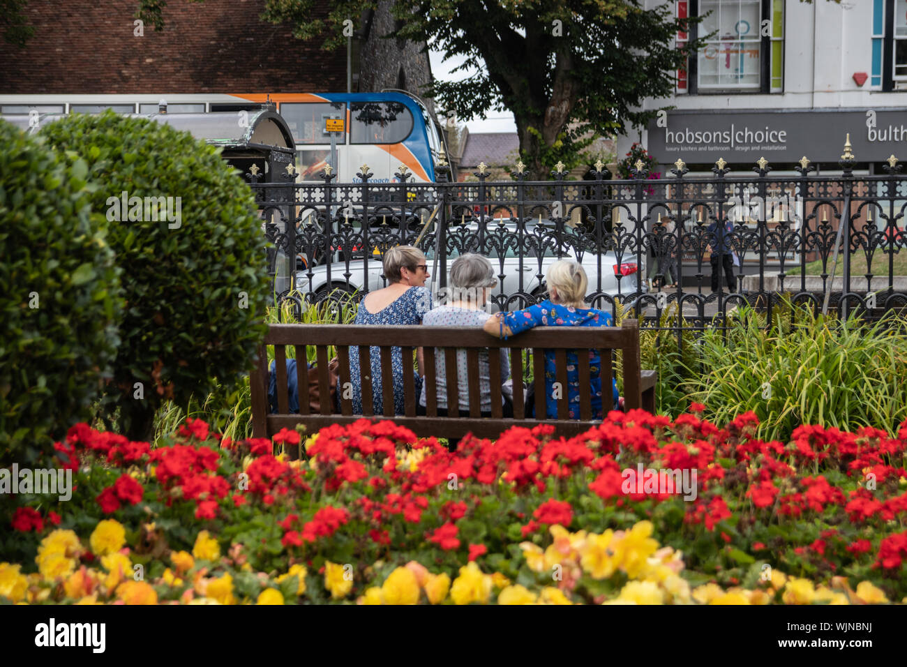 Three middle aged women sat on a wooden bench in the park surrounded by flowers Stock Photo