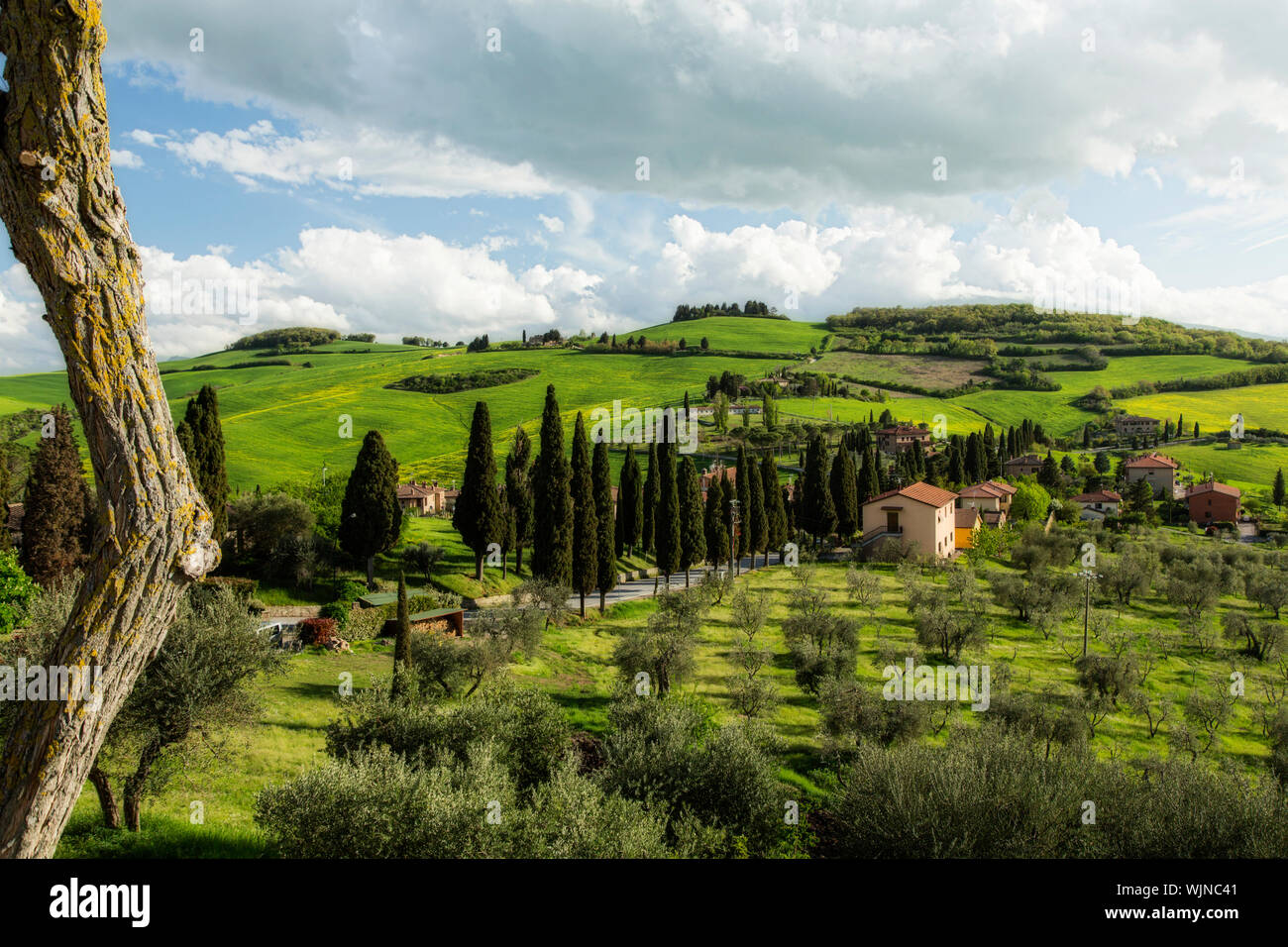 Rolling Green Landscape Of The Tuscan Countryside In Italy. Old 