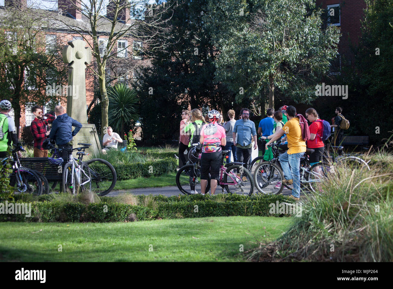 Group of cyclists in a park Stock Photo