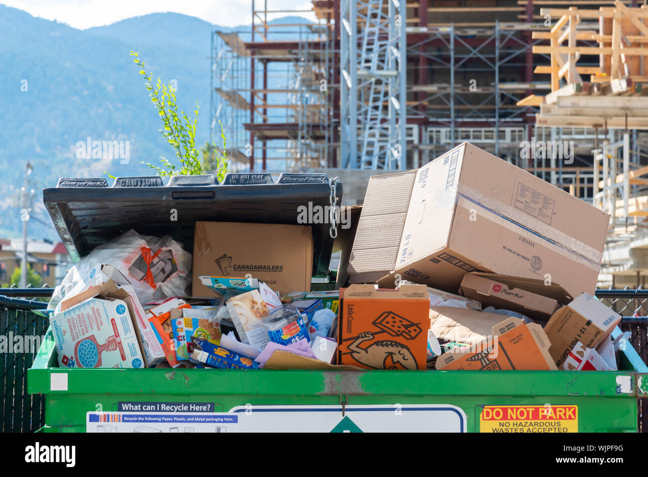 Cardboard boxes recycle bin hires stock photography and images Alamy
