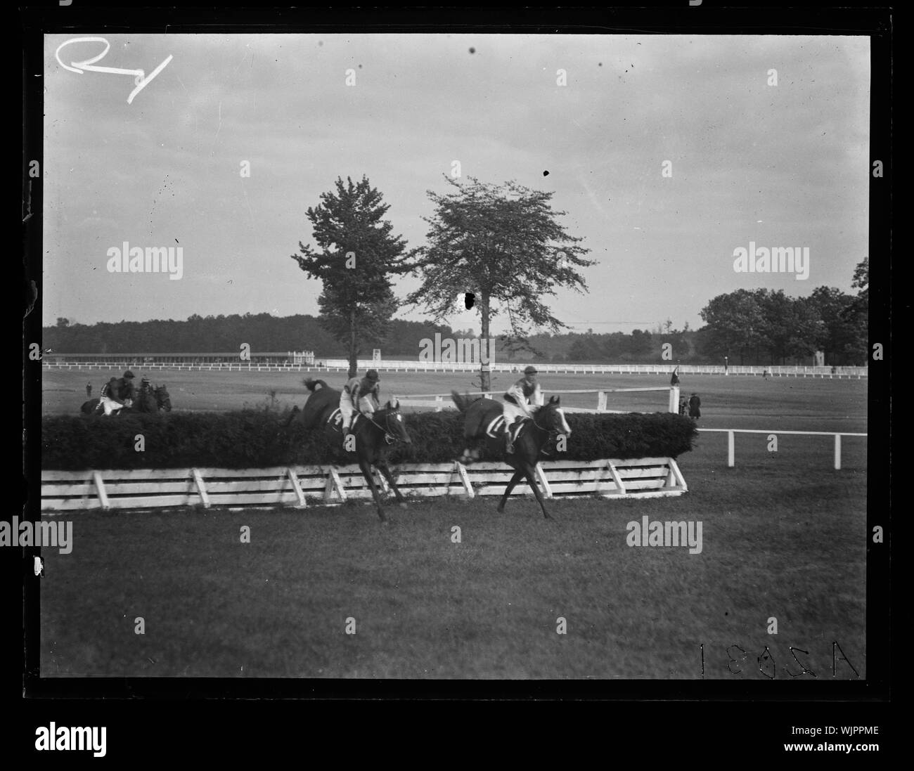 Horse riding event Stock Photo - Alamy
