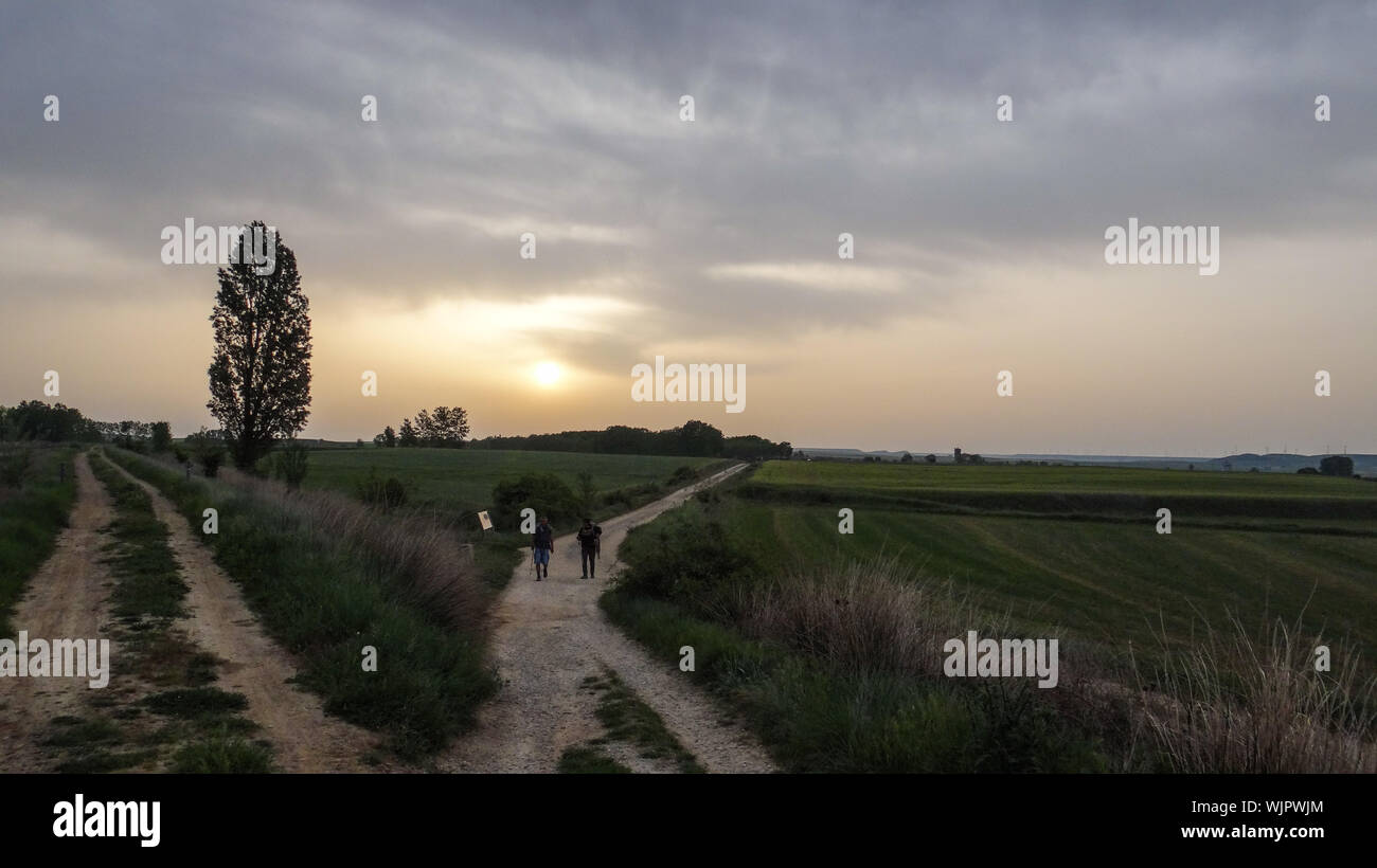 Long grass field sunset hi-res stock photography and images - Alamy