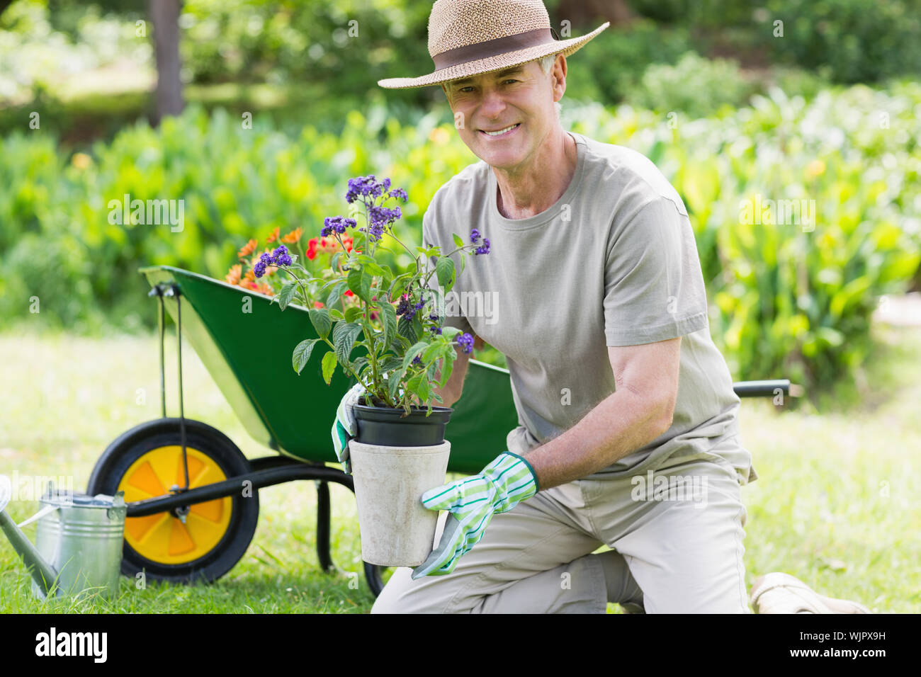 Portrait of a smiling mature man engaged in gardening Stock Photo - Alamy