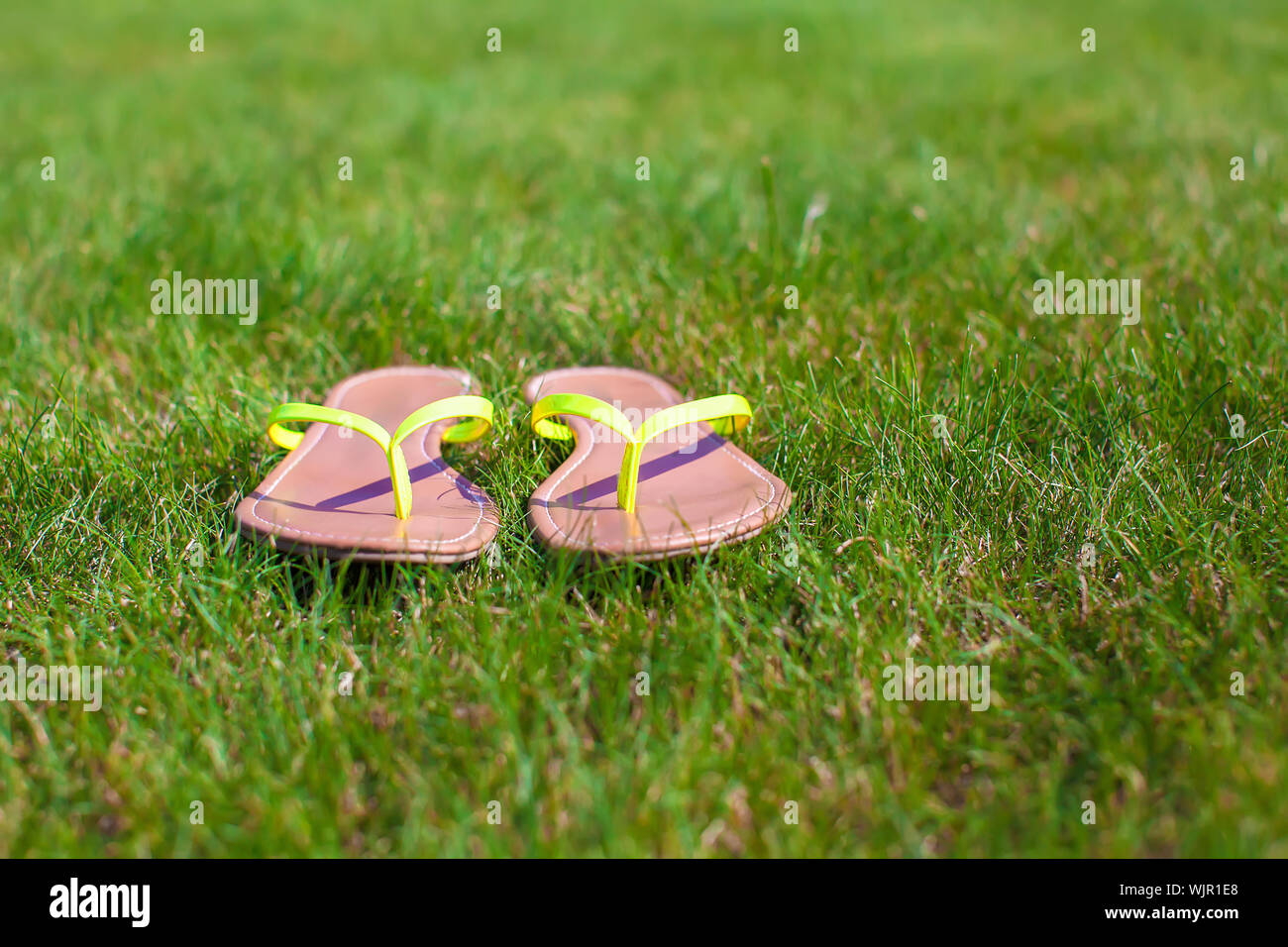 Bright flip flops on hi res stock photography and images Alamy Bright flip flops on hi res stock photography and images Alamy