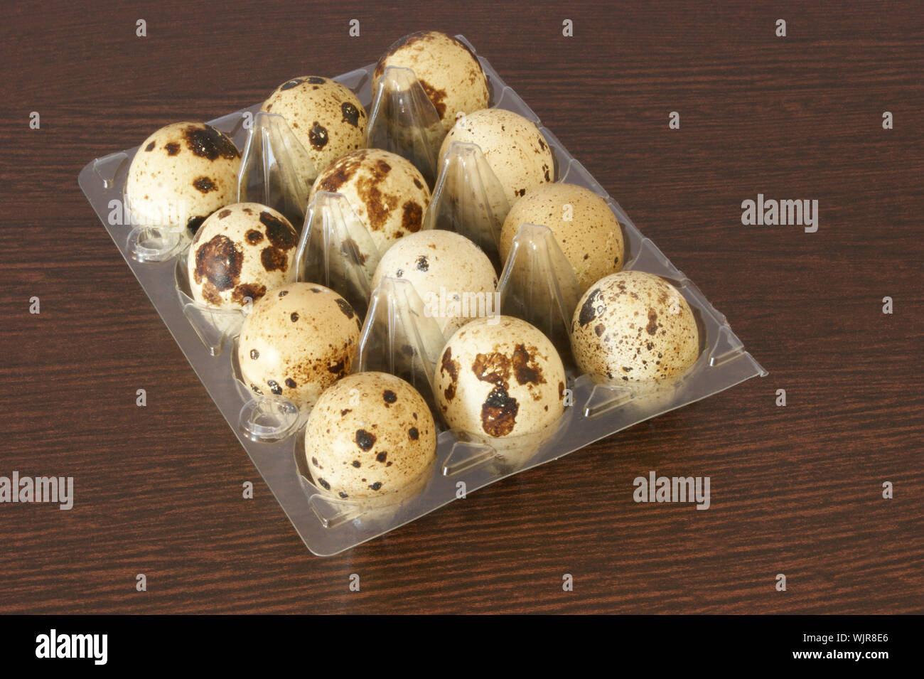 twelve organic quail eggs in a plastic container Stock Photo