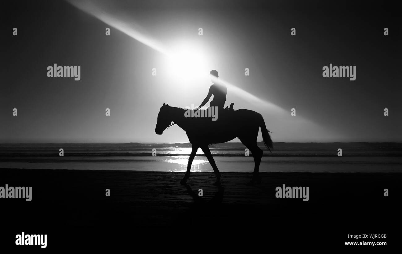 Horse silhouette against sunset Black and White Stock Photos & Images ...