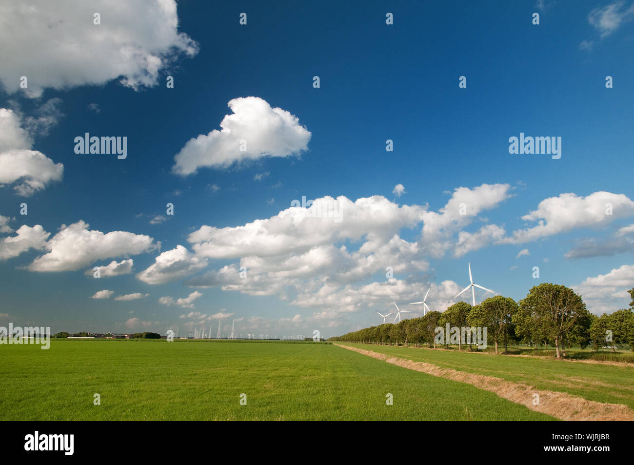 Many wind mills power turbines in landscape with cloudy sky Stock Photo