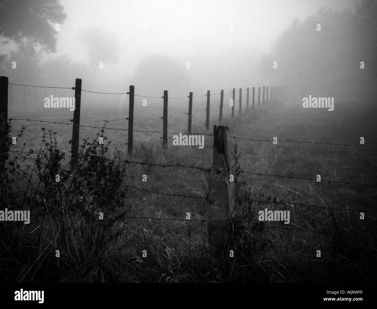 Wooden fence and grass Black and White Stock Photos & Images - Alamy