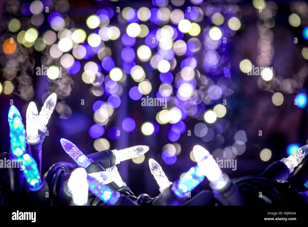 Christmas light up canada hires stock photography and images Alamy