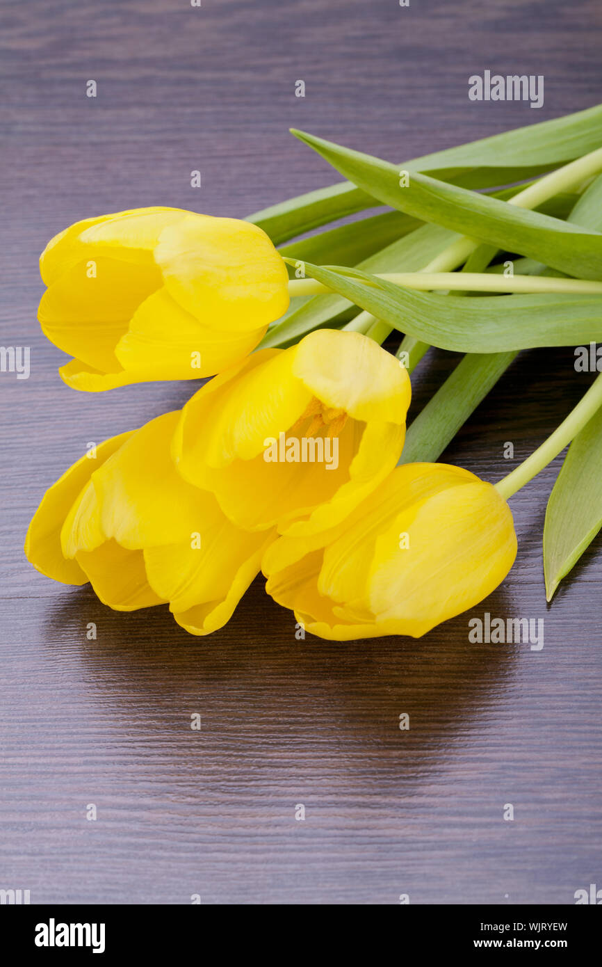 Bunch of cheerful vivid yellow tulips with green leaves lying on a grey ...