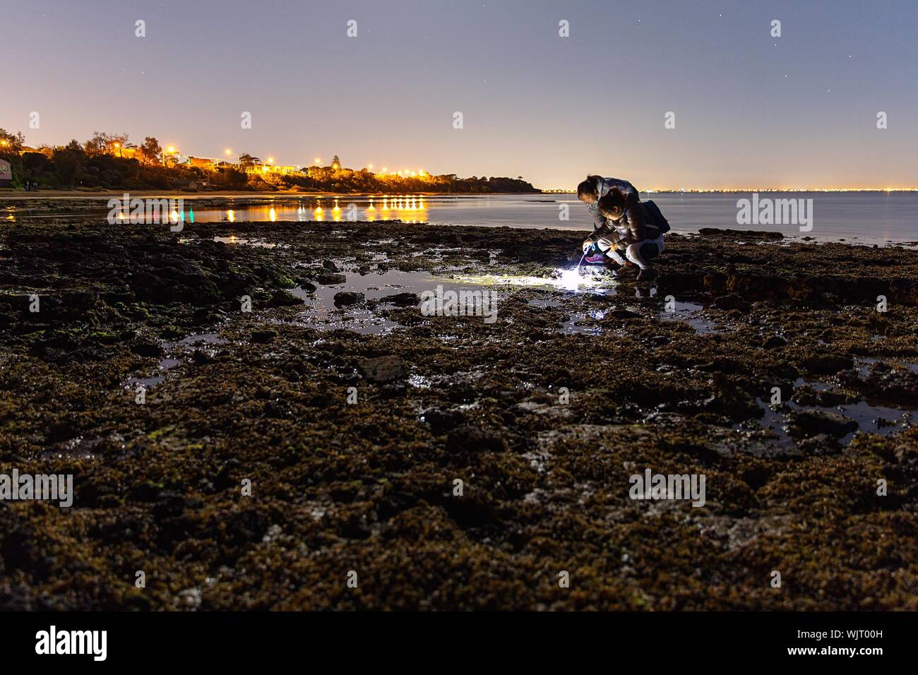 Women Researching On Rocky Shore At Night Stock Photo
