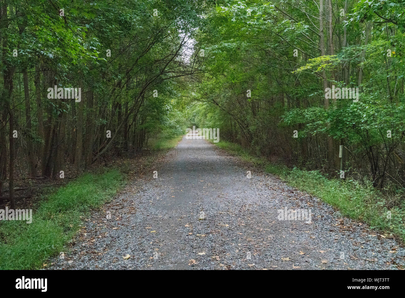 Freehold, new jersey hires stock photography and images Alamy