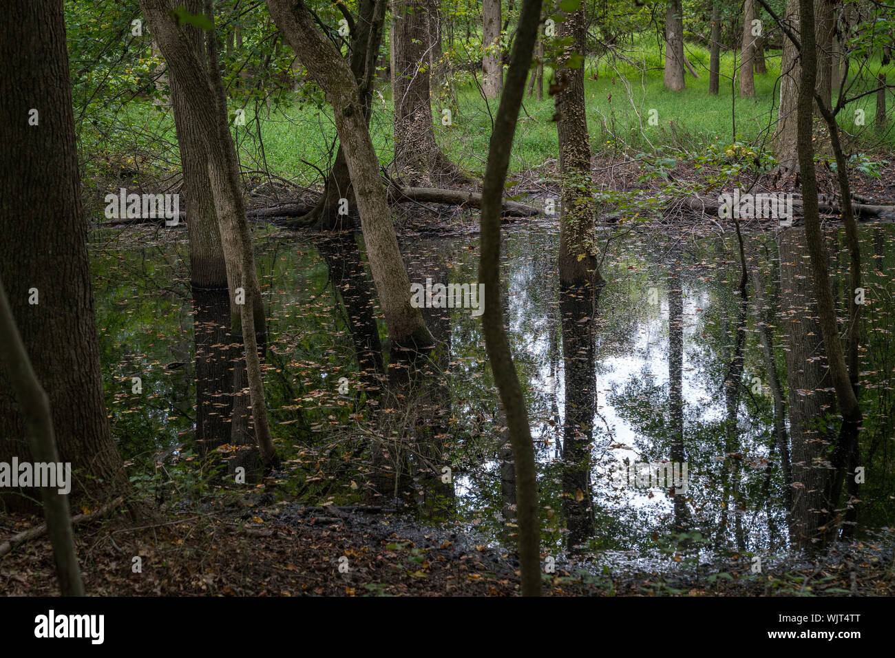 Freehold State Park, NJ Stock Photo Alamy