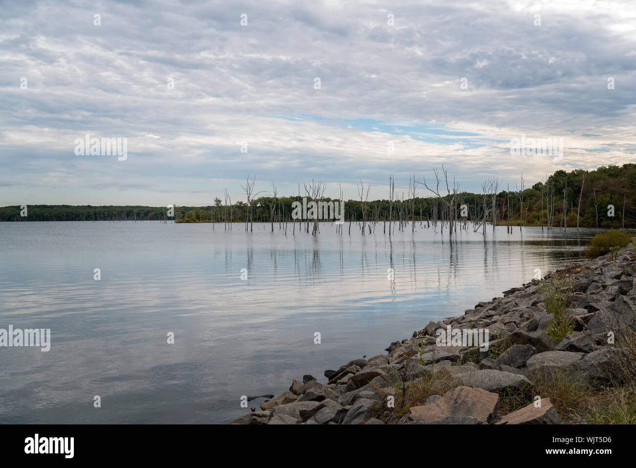 Freehold State Park, NJ Stock Photo Alamy