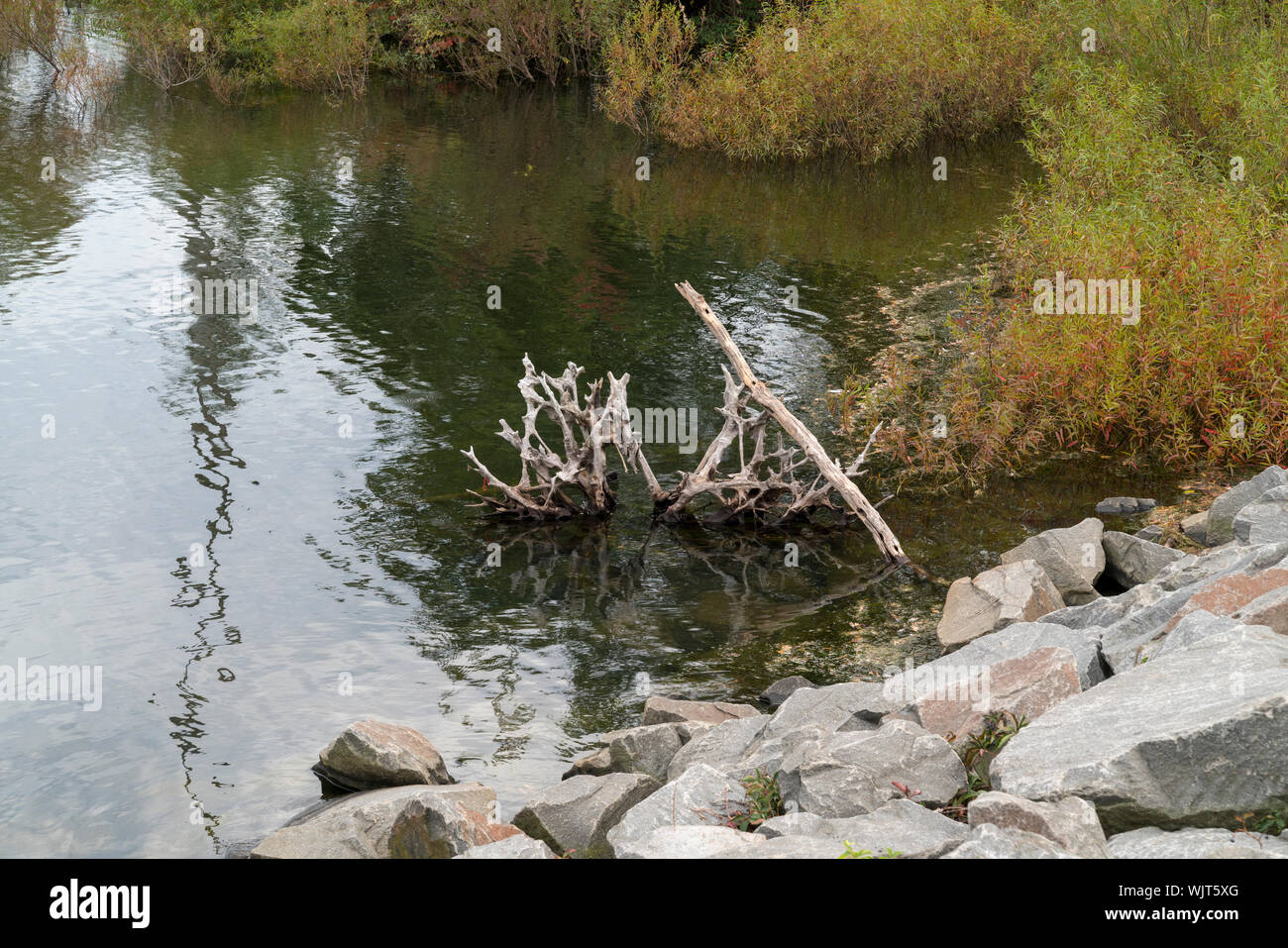 Freehold State Park, NJ Stock Photo Alamy