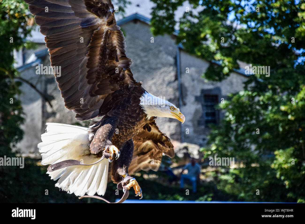 Eagle house hires stock photography and images Alamy