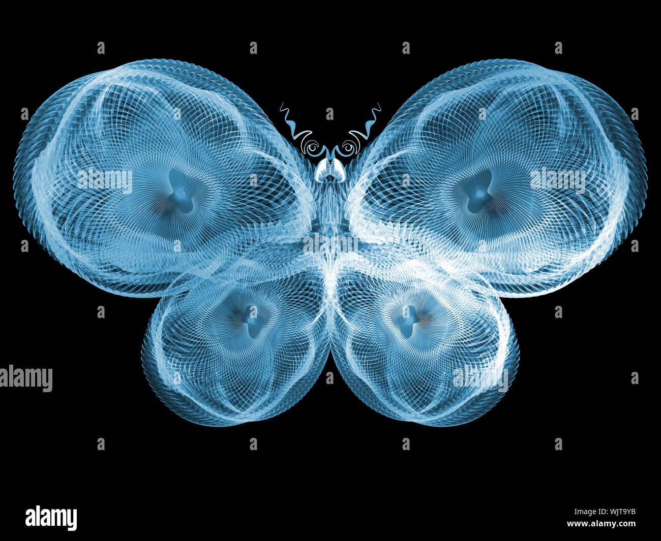 Never Were Butterflies series. Composition of isolated butterfly ...