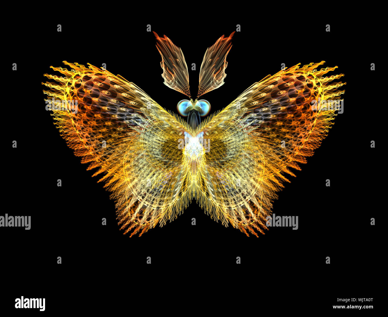 Never Were Butterflies series. Visually pleasing composition of ...
