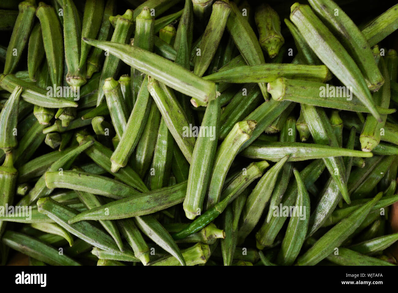 Full Frame Shot Of Okra For Sale At Market Stock Photo