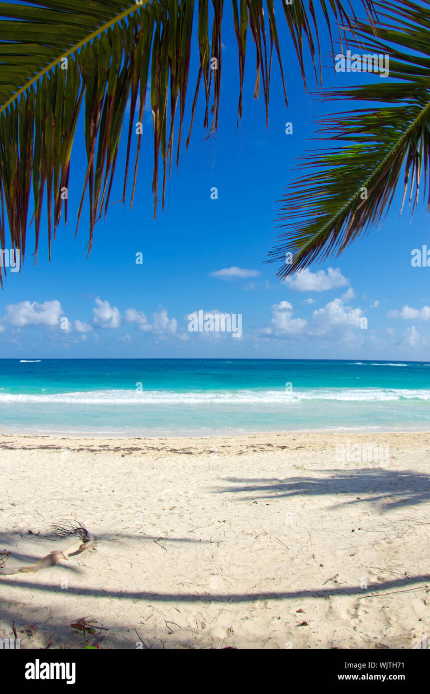 Caribbean clear beach and tropical sea Stock Photo - Alamy