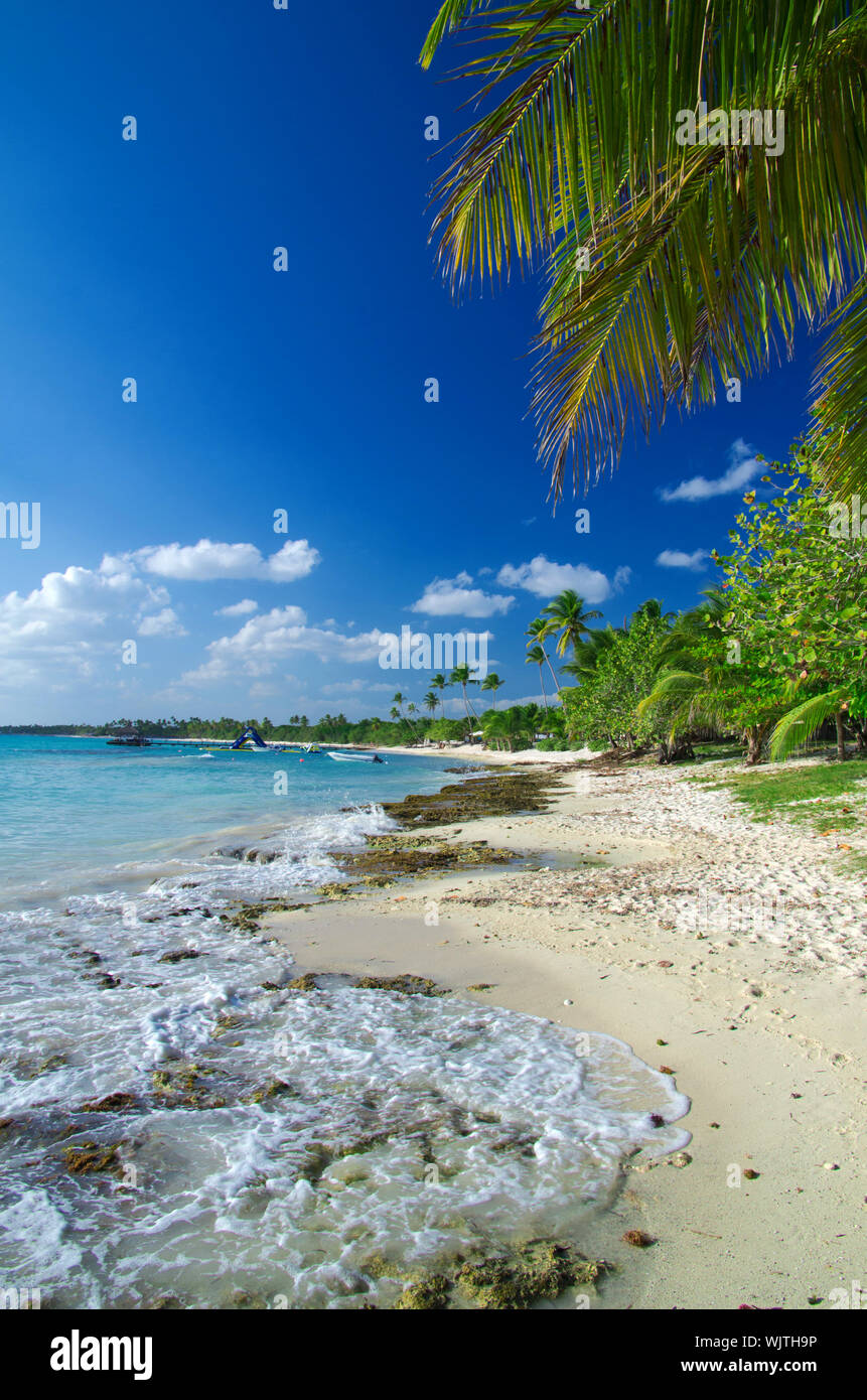 Caribbean clear beach and tropical sea Stock Photo - Alamy