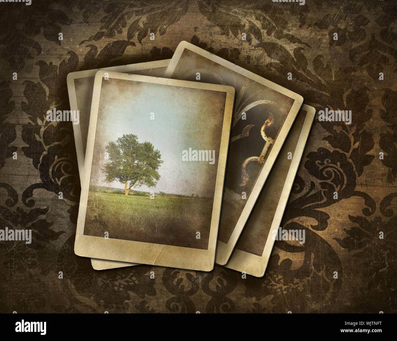 Vintage photos on dark damask background Stock Photo