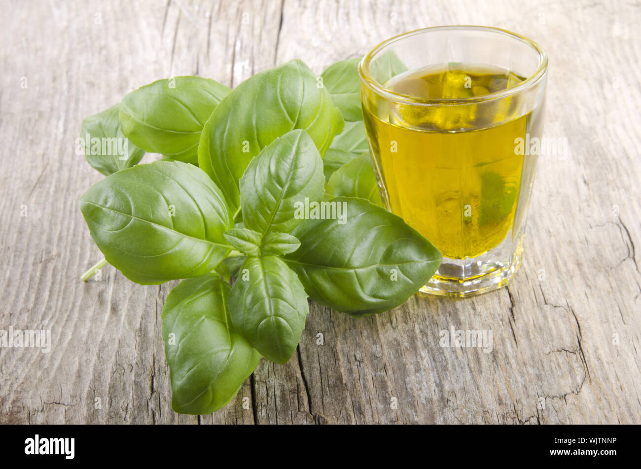 fresh basil and extra virgin olive oil in a small glass Stock Photo - Alamy