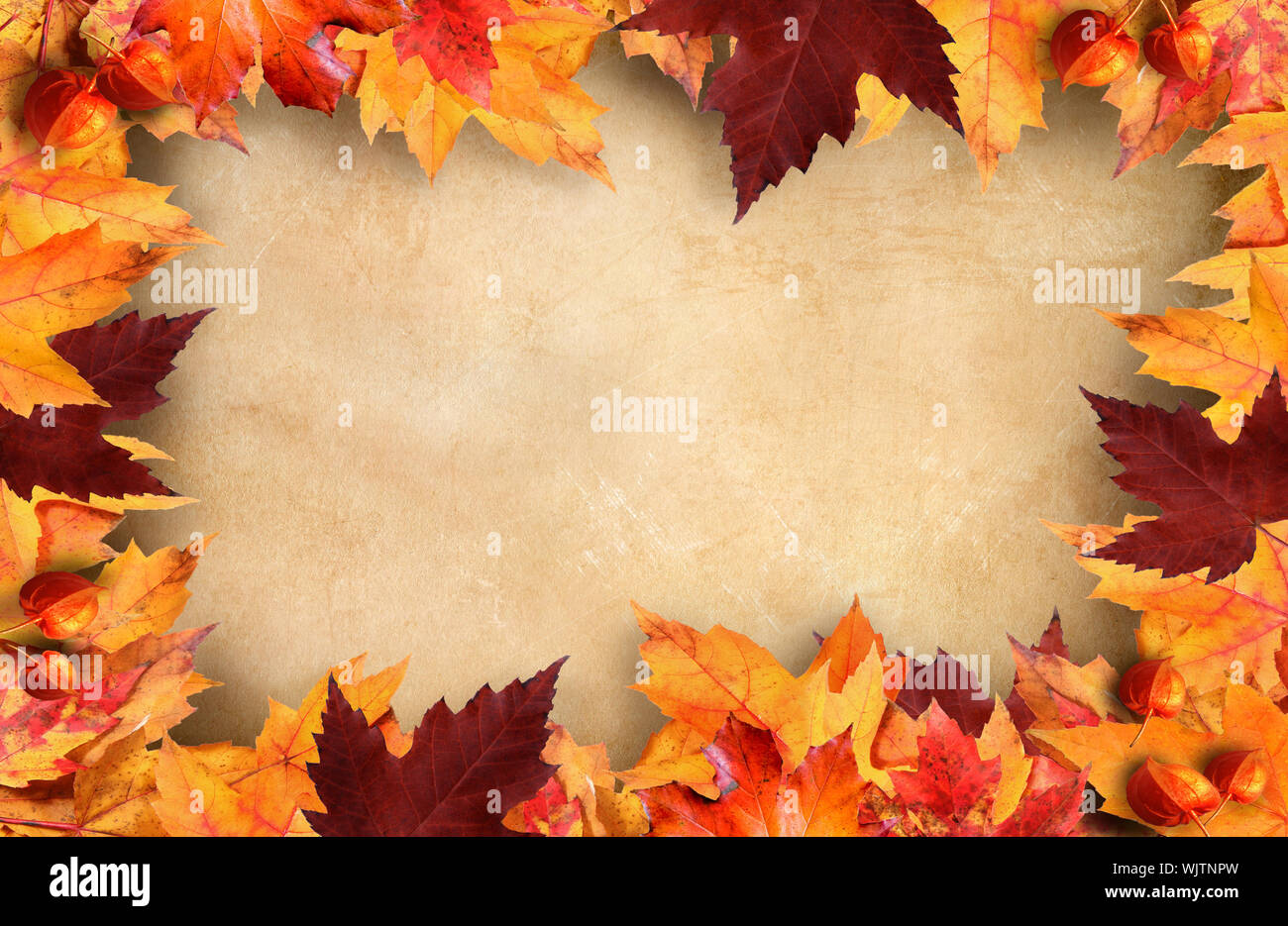 Autumn leaves frame with vintage paper background Stock Photo - Alamy