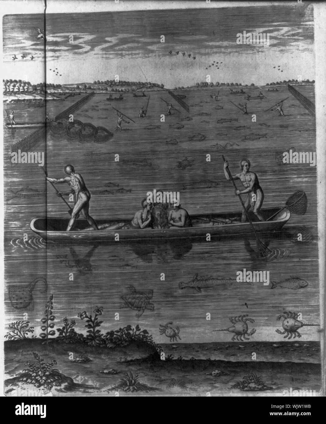 How they catch fish Stock Photo Alamy