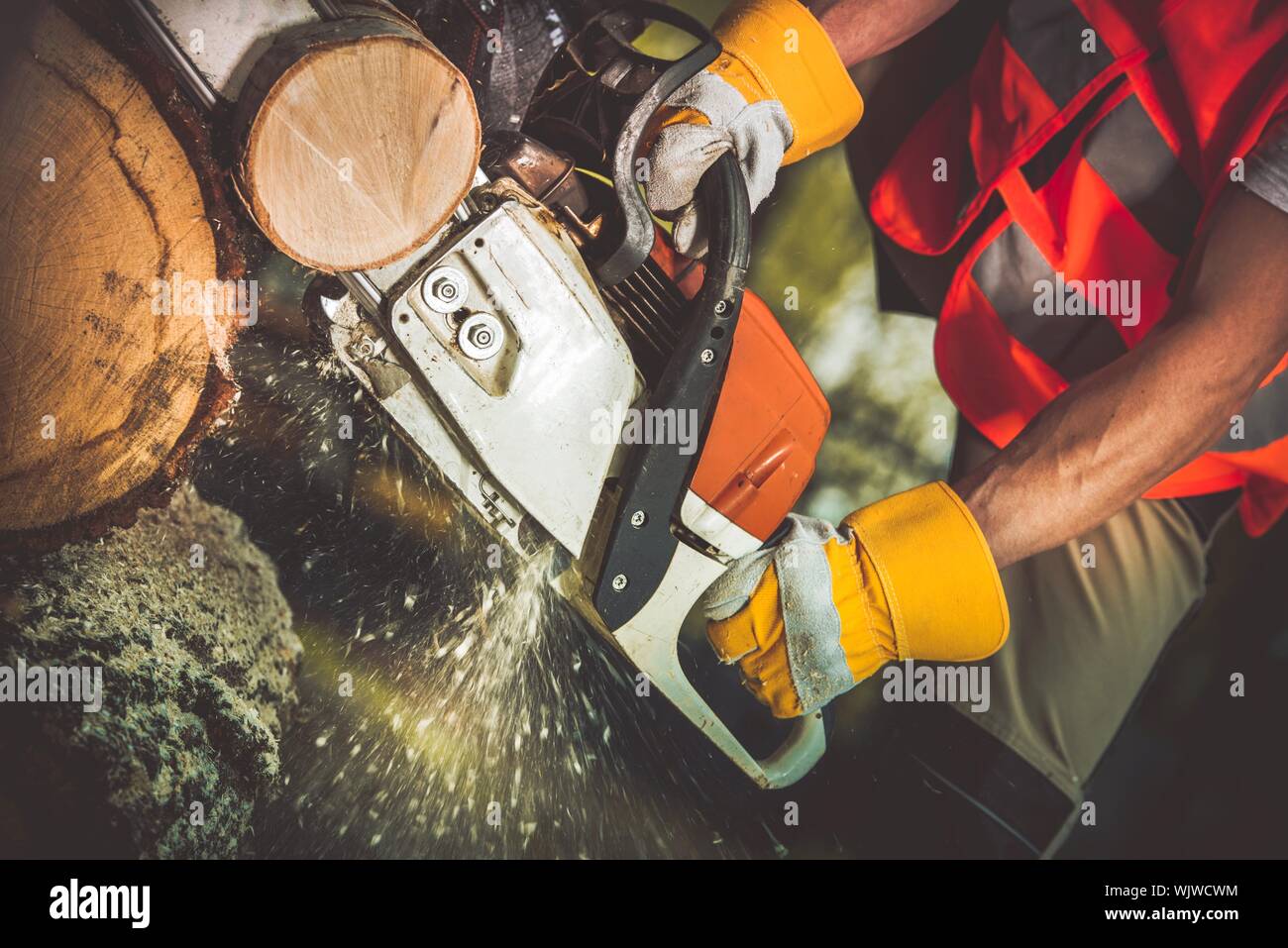 Close-up Of Man Using Chainsaw Stock Photo