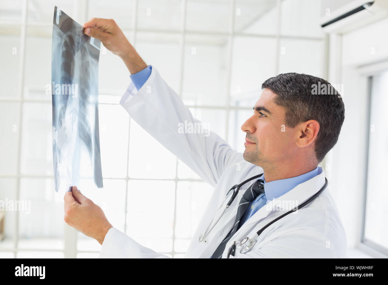 Male doctor checking looking xray hi-res stock photography and images ...