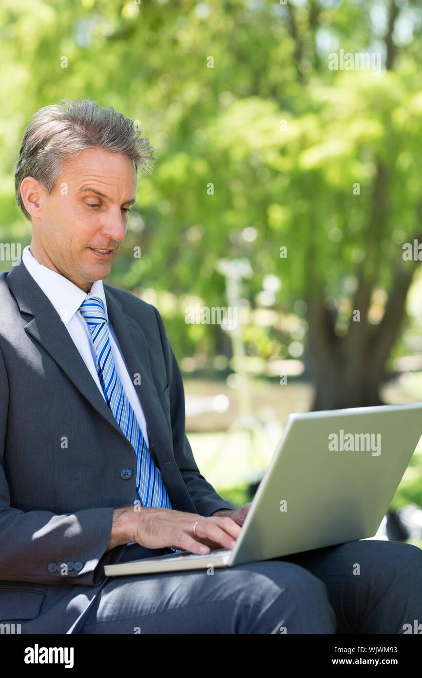 Mature businessman using laptop in park Stock Photo - Alamy