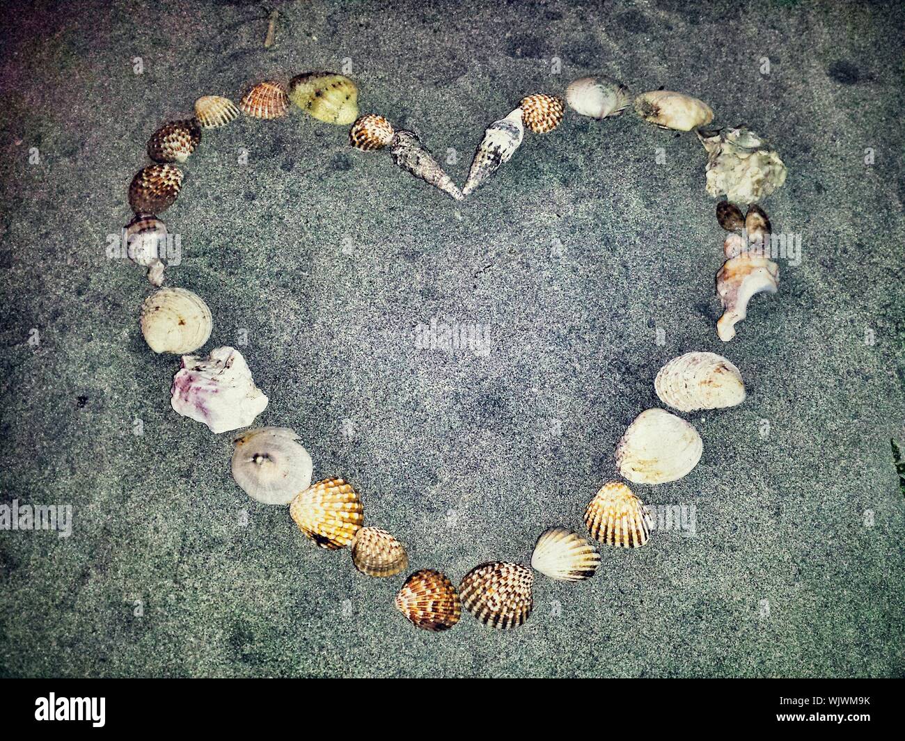 High Angle View Of Heart Shape Made Of Various Shells On Sand Stock Photo