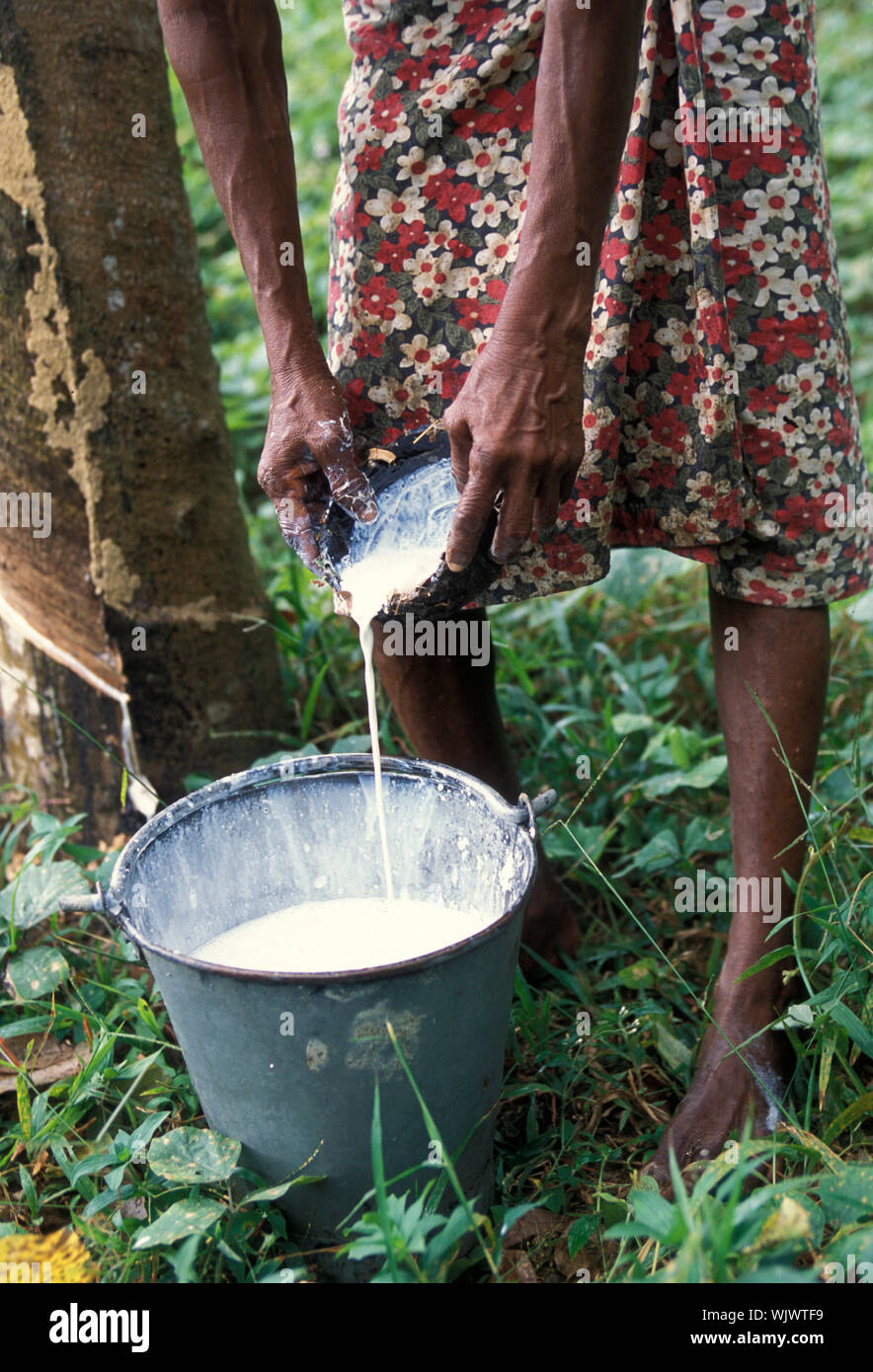 Field latex hires stock photography and images Alamy