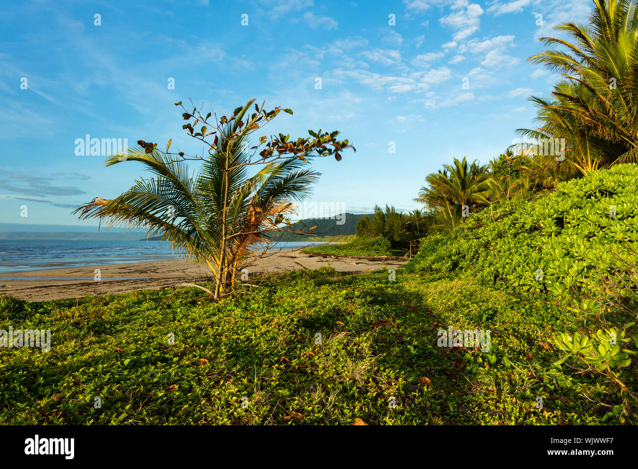 Wonga beach port douglas hires stock photography and images Alamy