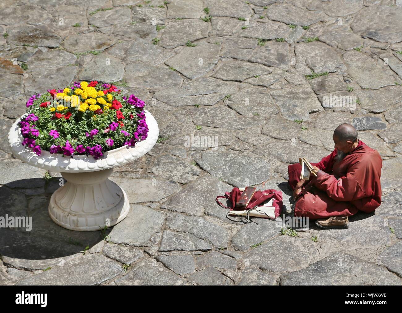 High Angle View Of Monk Reading Religious Book By Flower Vase Stock Photo