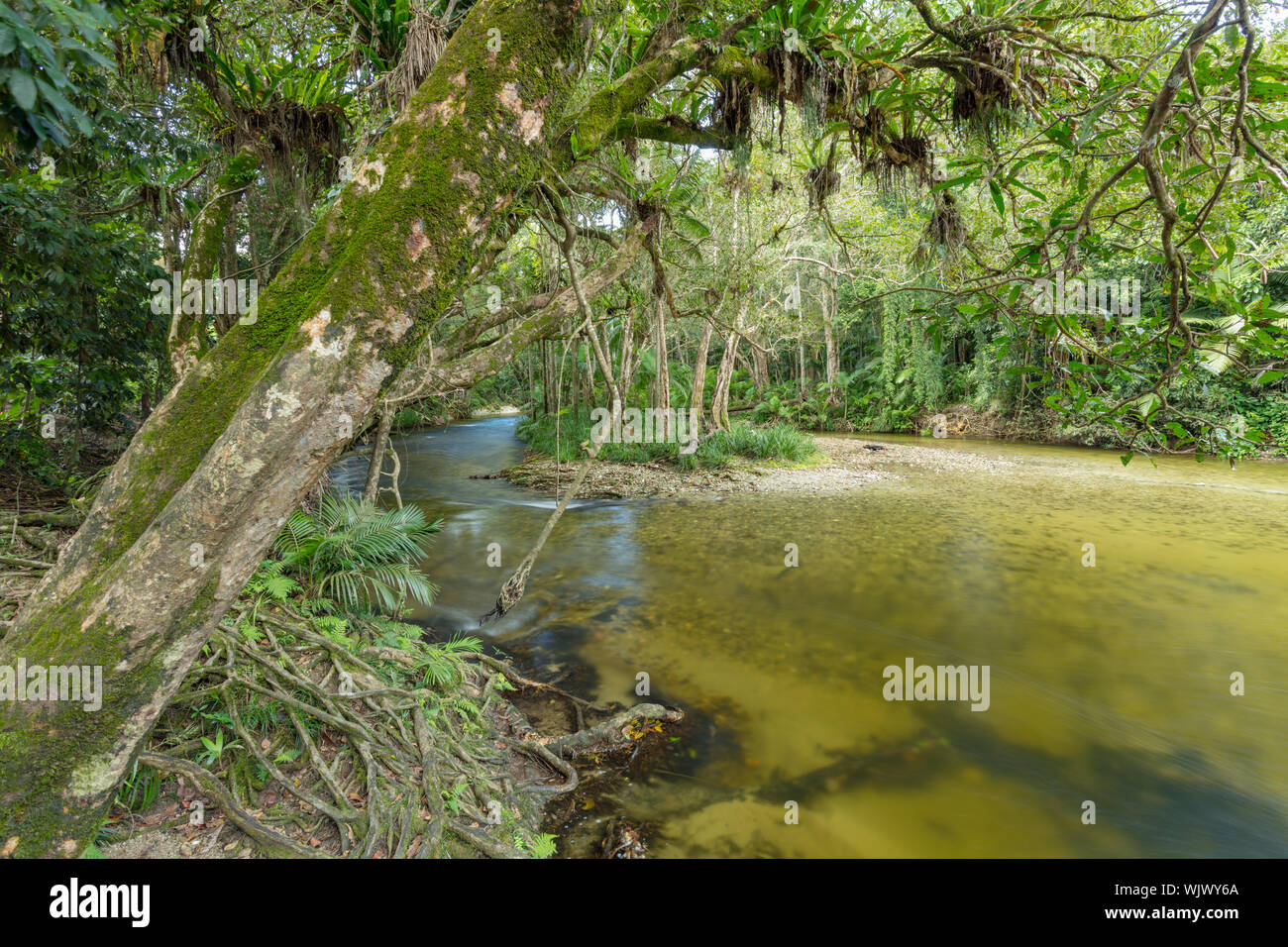 Mossman, Queensland, Australia, Crystal clear waters of the Mossman River at Anich's Bridge swimming hole near Mossman in tropical Far North Queenslan Stock Photo