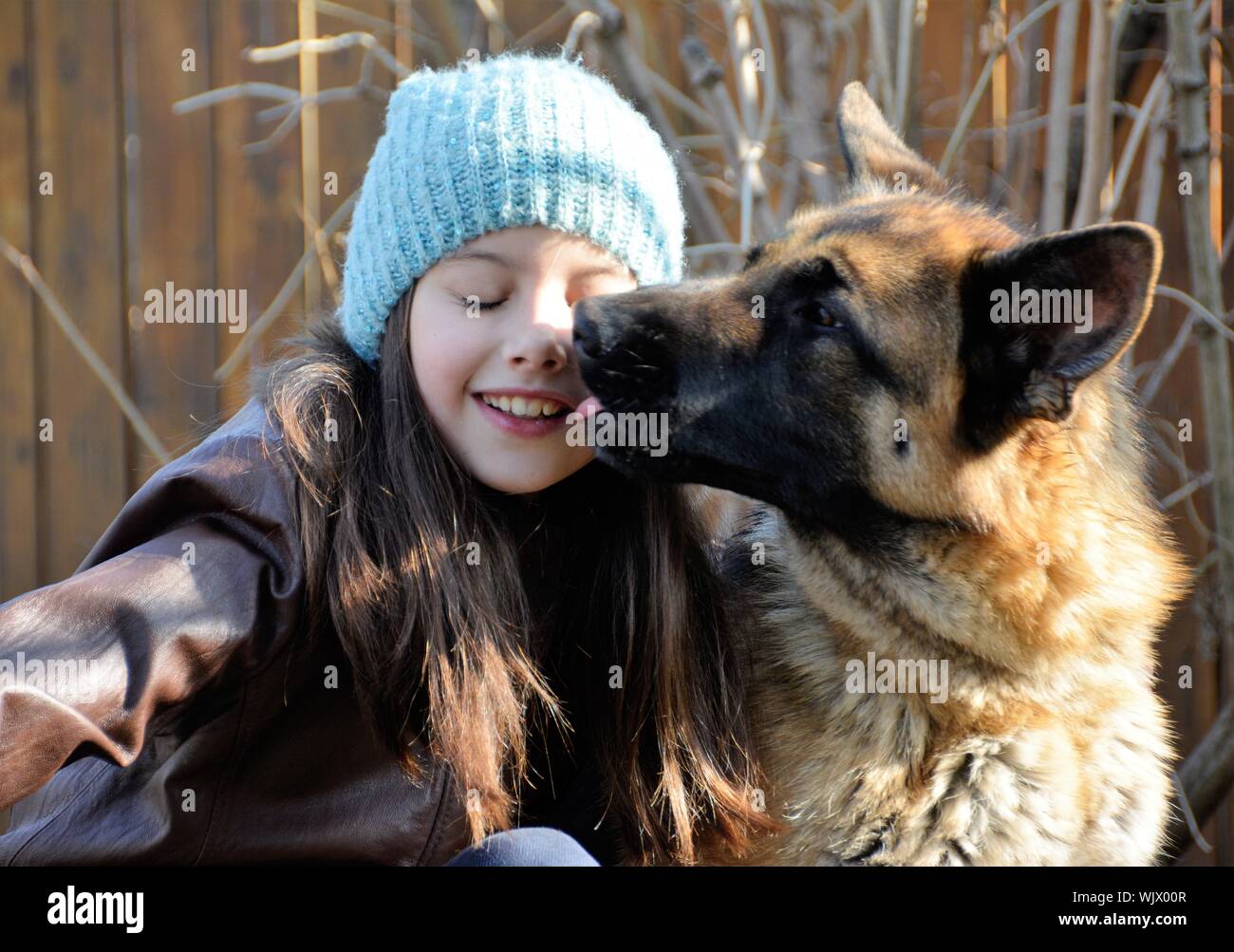 Pet licking face hires stock photography and images Alamy