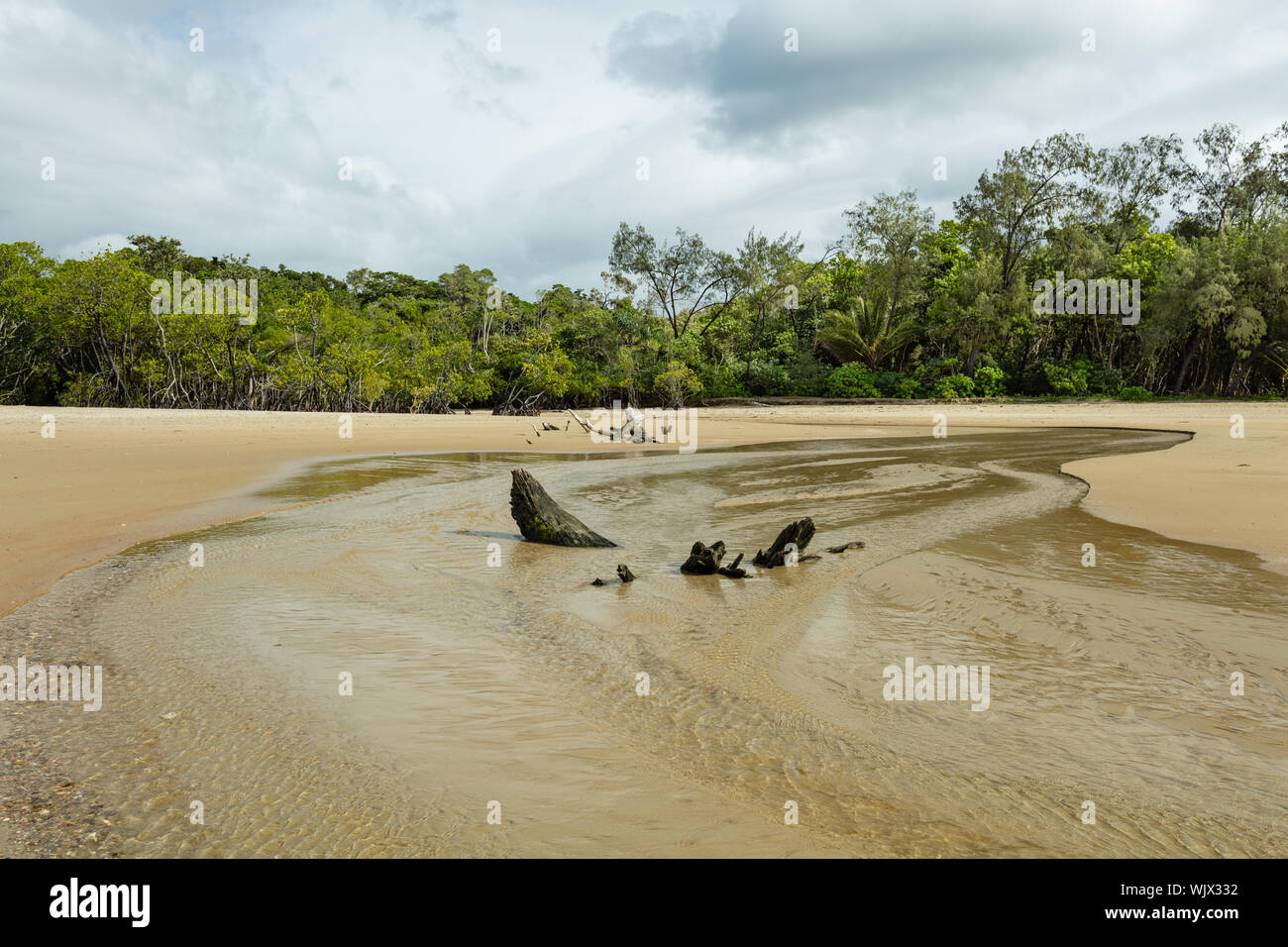 Daintree National Park, Queensland, Australia. A small stream entering