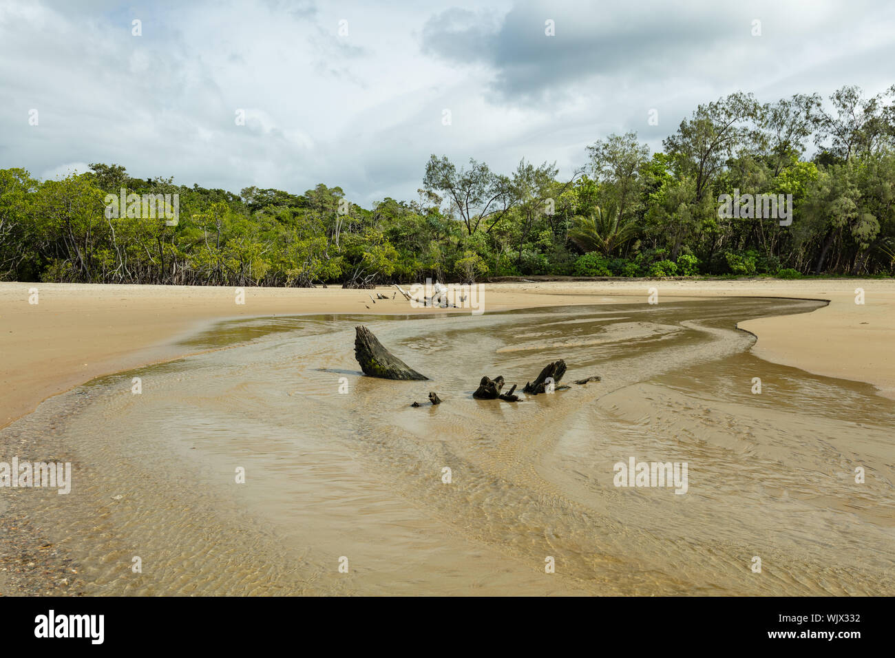 Daintree National Park, Queensland, Australia. A small stream entering the sea at Cow Bay Beach in Daintree National Park in tropical Far North Queens Stock Photo