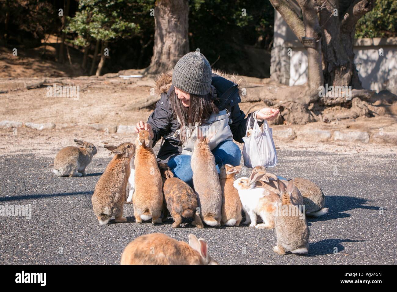 Кролики живут на улице. Остров Окуносима Япония. Остров кроликов Окуносима. Остров кроликов в Японии. Остров Зайцев в Японии.