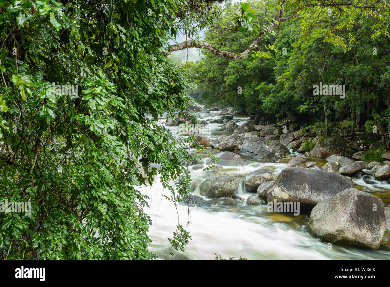 Mossman, Queensland, Australia. The Mossman River in the lush wet rain forest of Mossman Gorge at Mossman in tropical Far North Queensland. Stock Photo