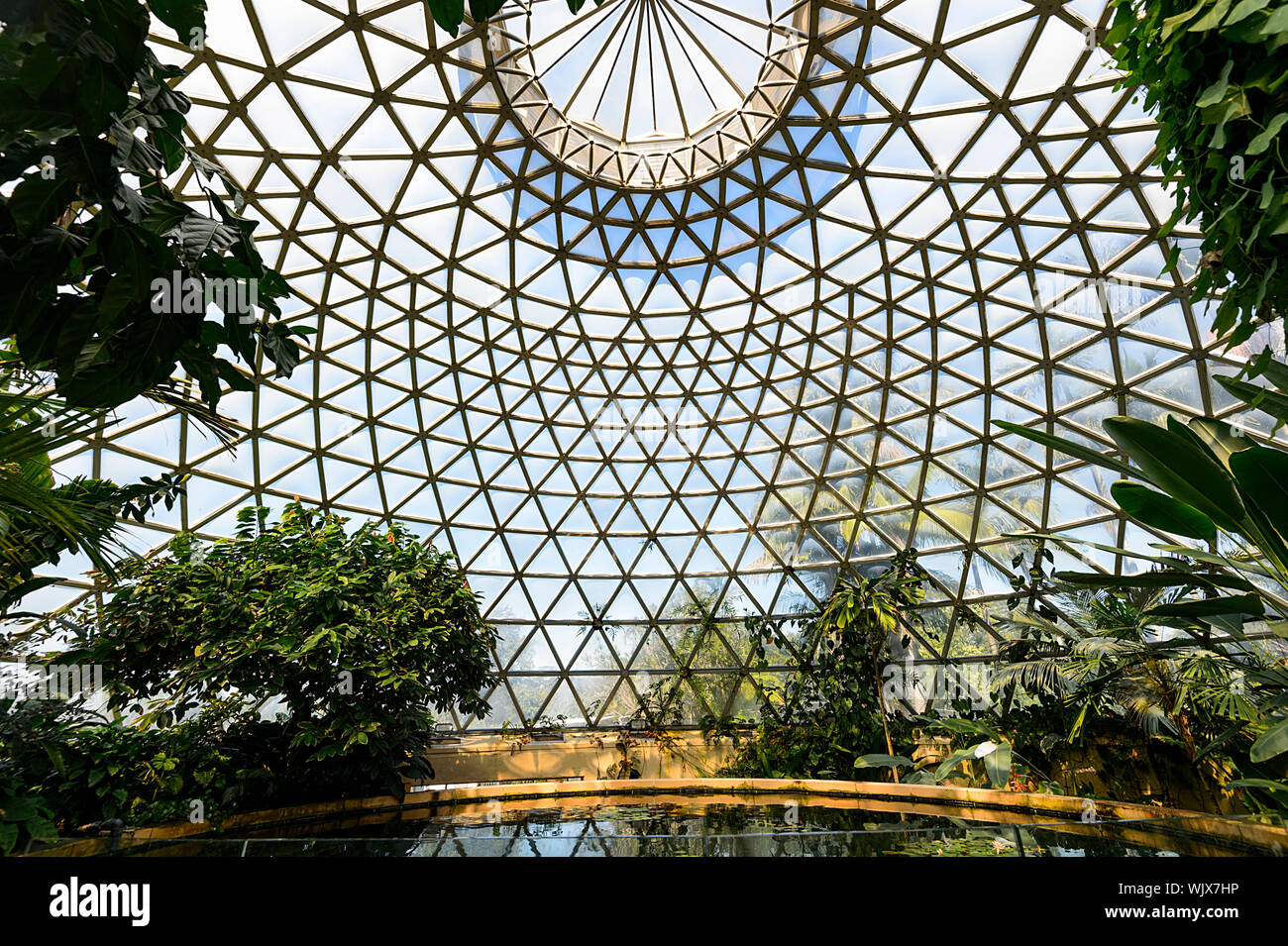 Inside the Tropical Display Dome at Mt Coot-tha Botanic Gardens, Brisbane, Queensland, QLD, Australia Stock Photo