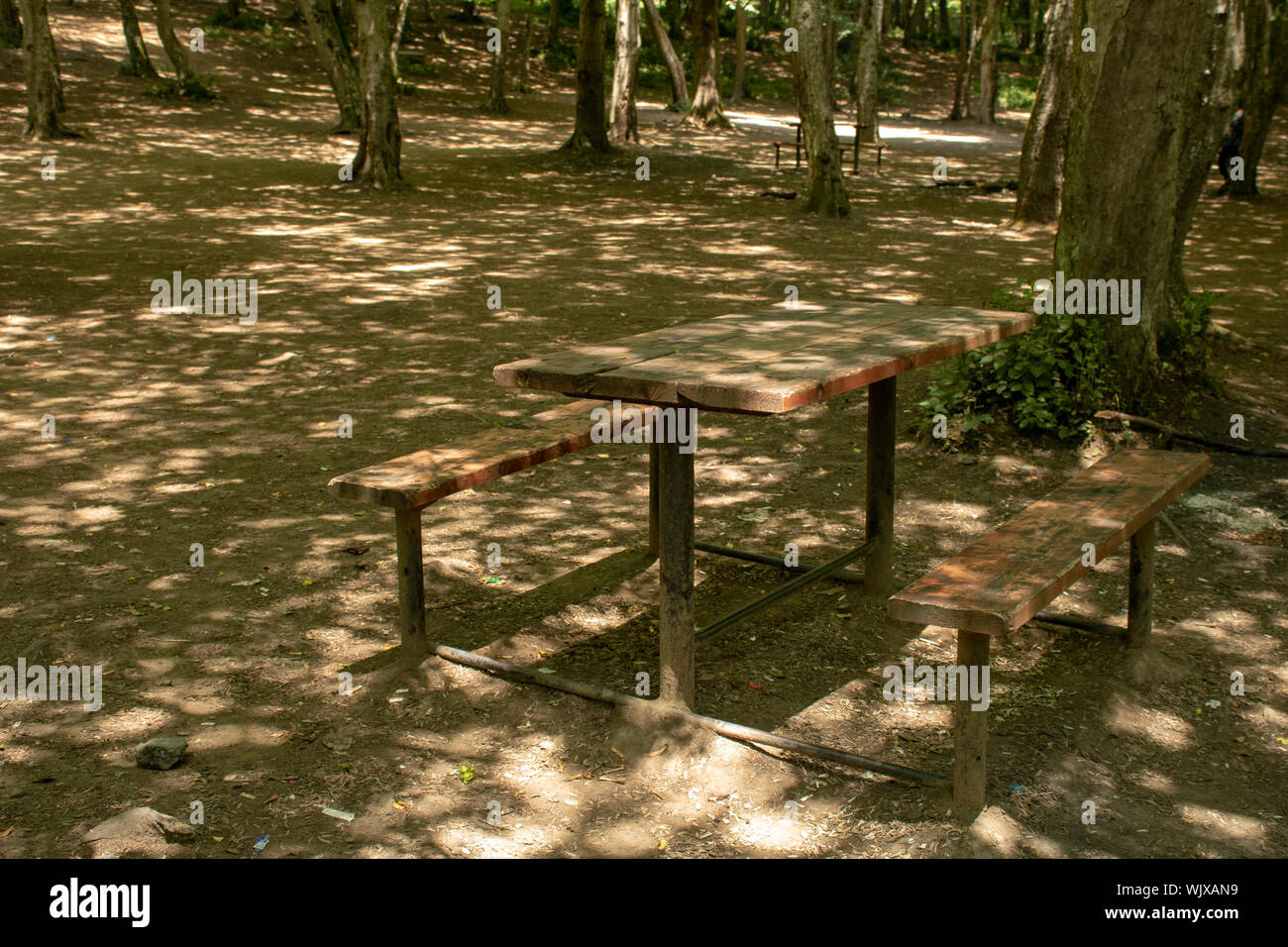 Picnic table in the woods Stock Photo Alamy