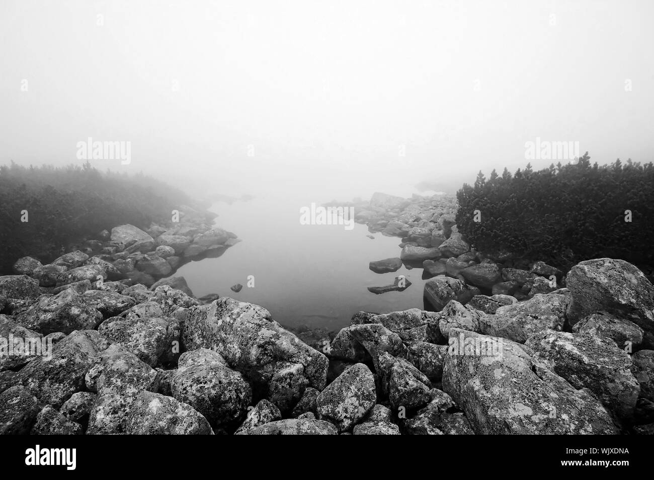 Mountain lake covered in mist Stock Photo Alamy