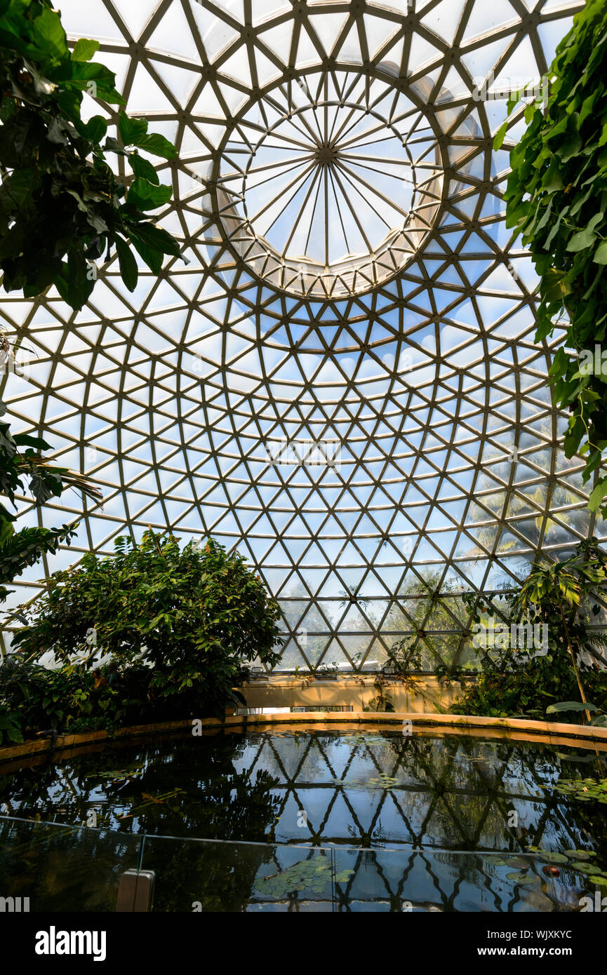 Vertical view of the interior of the Tropical Display Dome at Mt Coot-tha Botanic Gardens, Brisbane, Queensland, QLD, Australia Stock Photo