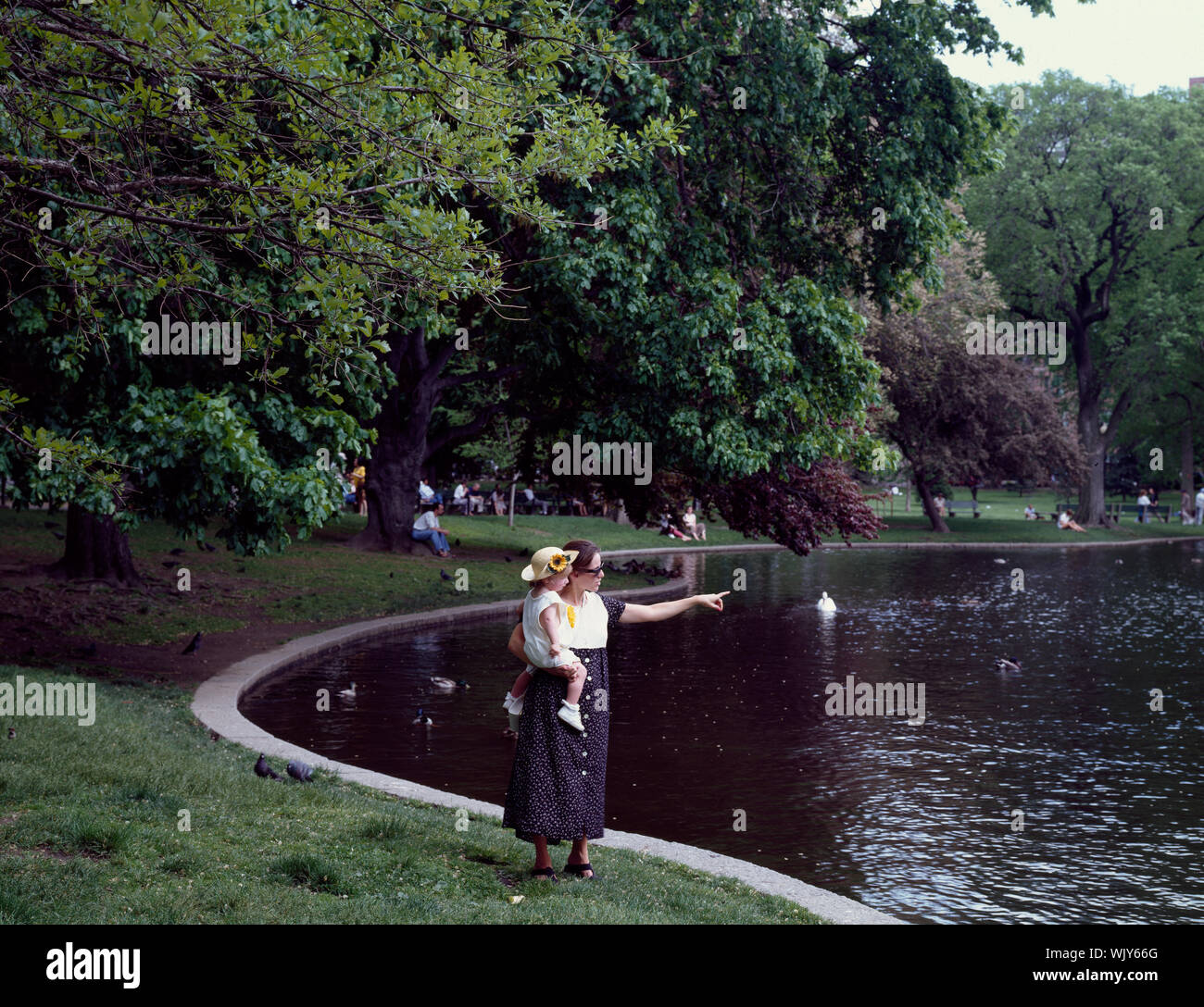 Idyllic lagoon in the Public Garden, created in 1837, Boston, Massachusetts Stock Photo